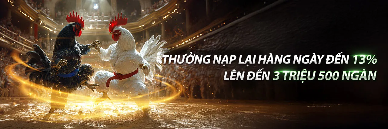 Đá gà trực tiếp tại GO88 LIVE 2026